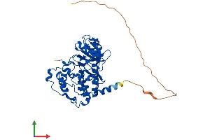 AlphaFold protein structure predicition of Human Recombinant CSNK2A1 Protein, UniprotID P68400