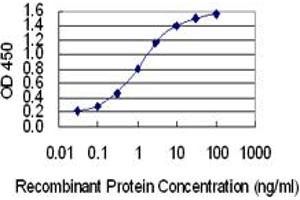 Detection limit for recombinant GST tagged JTV1 is 0. (AIMP2 anticorps  (AA 1-100))
