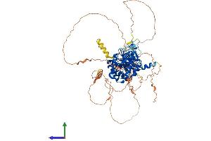 AlphaFold protein structure predicition of Human Recombinant PIP5K1C Protein, UniprotID O60331
