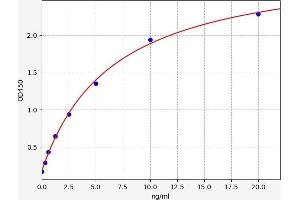 Growth Differentiation Factor 2 (GDF2) ELISA Kit