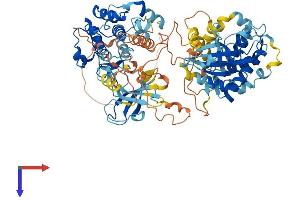 AlphaFold protein structure predicition of Human Recombinant RPS6KA4 Protein, UniprotID O75676