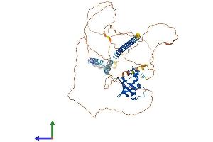 AlphaFold protein structure predicition of Mouse Recombinant Gmeb2 Protein, UniprotID P58929
