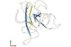 AlphaFold protein structure predicition of Mouse Recombinant Sox6 Protein, UniprotID P40645