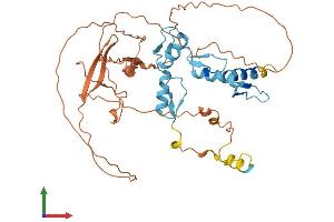 AlphaFold protein structure predicition of Mouse Recombinant Yy1 Protein, UniprotID Q00899
