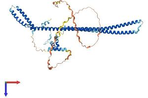 AlphaFold protein structure predicition of Mouse Recombinant Pdcd7 Protein, UniprotID Q9WTY1