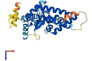 AlphaFold protein structure predicition of Human Recombinant LIX1 Protein, UniprotID Q8N485