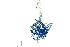 AlphaFold protein structure predicition of Human Recombinant CLCNKA Protein, UniprotID P51800