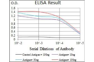 Red: Control Antigen (100ng) ; Purple: Antigen (10ng) ; Green: Antigen (50ng) ; Blue: Antigen (100ng). (Prosaposin anticorps  (AA 325-524))