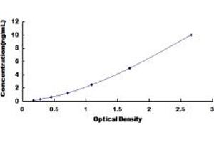 Typical standard curve (CCR1 Kit ELISA)
