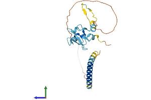 AlphaFold protein structure predicition of Human Recombinant RNF152 Protein, UniprotID Q8N8N0