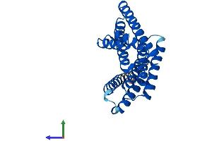 AlphaFold protein structure predicition of Human Recombinant YWHAZ Protein, UniprotID P63104