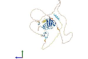 AlphaFold protein structure predicition of Mouse Recombinant Aplf Protein, UniprotID Q9D842