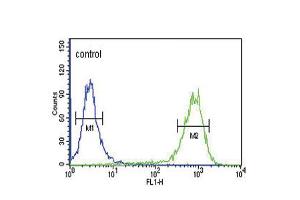 Flow cytometric analysis of K562 cells (right histogram) compared to a negative control cell (left histogram). (MC3R anticorps  (AA 86-112))