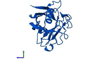 AlphaFold protein structure predicition of Human Recombinant PPIA Protein, UniprotID P62937