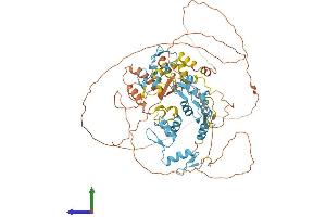 AlphaFold protein structure predicition of Human Recombinant ZBTB39 Protein, UniprotID O15060