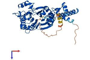 AlphaFold protein structure predicition of Mouse Recombinant Ppm1n Protein, UniprotID Q8BGL1
