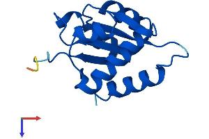 AlphaFold protein structure predicition of Mouse Recombinant Snu13 Protein, UniprotID Q9D0T1