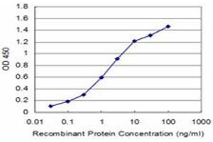 Detection limit for recombinant GST tagged FADD is approximately 0. (FADD anticorps  (AA 109-208))