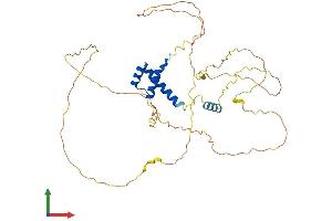 AlphaFold protein structure predicition of Human Recombinant EVX1 Protein, UniprotID P49640