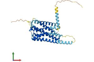 AlphaFold protein structure predicition of Mouse Recombinant Gpr21 Protein, UniprotID Q8BX79