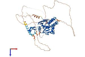 AlphaFold protein structure predicition of Human Recombinant CDYL Protein, UniprotID Q9Y232