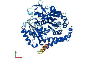 AlphaFold protein structure predicition of Human Recombinant TUBB4A Protein, UniprotID P04350
