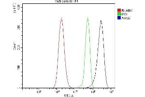 Flow Cytometry analysis of 293T cells using anti-ARG2 antibody (ABIN7601717).