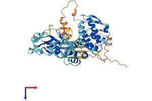 AlphaFold protein structure predicition of Mouse Recombinant Gsdmc4 Protein, UniprotID Q3TR54