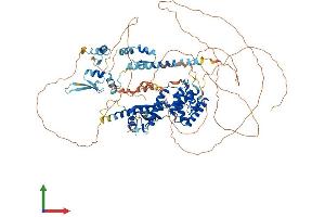 AlphaFold protein structure predicition of Human Recombinant ZFR2 Protein, UniprotID Q9UPR6