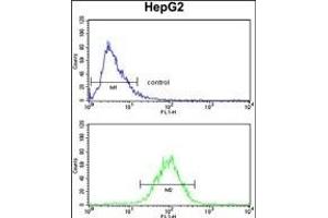 SPCS3 Antibody (C-term) (ABIN390623 and ABIN2840930) flow cytometry analysis of HepG2 cells (bottom histogram) compared to a negative control cell (top histogram). (SPCS3 anticorps  (C-Term))