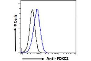 ABIN185029 Flow cytometric analysis of paraformaldehyde fixed HEK293 cells (blue line), permeabilized with 0.