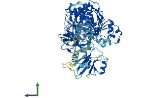 AlphaFold protein structure predicition of Human Recombinant SLC27A4 Protein, UniprotID Q6P1M0