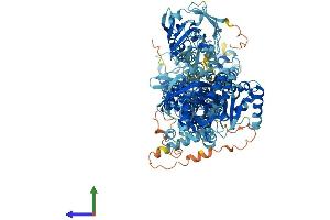 AlphaFold protein structure predicition of Mouse Recombinant Atp8a2 Protein, UniprotID P98200