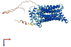 AlphaFold protein structure predicition of Human Recombinant SLC2A9 Protein, UniprotID Q9NRM0