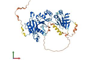 AlphaFold protein structure predicition of Mouse Recombinant Sufu Protein, UniprotID Q9Z0P7