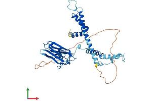AlphaFold protein structure predicition of Mouse Recombinant Nudcd3 Protein, UniprotID Q8R1N4