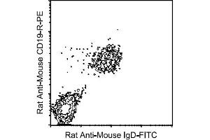 Flow Cytometry (FACS) image for Rat anti-Mouse IgD antibody (FITC) (ABIN356119) (Rat anti-Souris IgD Anticorps (FITC))