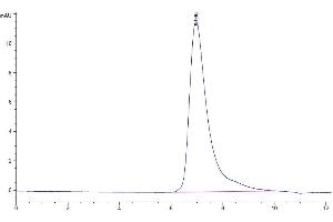 The purity of Mouse ITGB6 is greater than 95 % as determined by SEC-HPLC.