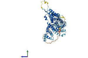AlphaFold protein structure predicition of Mouse Recombinant Slc13a3 Protein, UniprotID Q91Y63