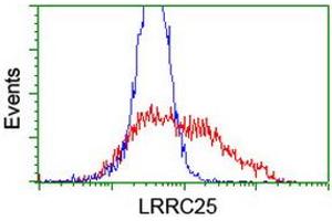 HEK293T cells transfected with either RC209911 overexpress plasmid (Red) or empty vector control plasmid (Blue) were immunostained by anti-LRRC25 antibody (ABIN2455887), and then analyzed by flow cytometry. (LRRC25 anticorps)