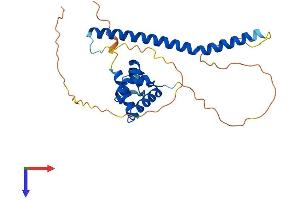 BEN Domain Containing 6 (BEND6) (AA 1-279) protein (His tag)
