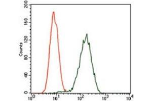 Flow Cytometry (FACS) image for anti-Glypican 3 (GPC3) antibody (ABIN1107403) (Glypican 3 anticorps)
