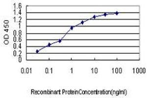 Detection limit for recombinant GST tagged NFYB is approximately 0. (NFYB anticorps  (AA 1-207))