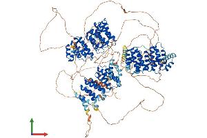 AlphaFold protein structure predicition of Mouse Recombinant Clasp2 Protein, UniprotID Q8BRT1