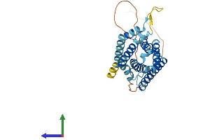 AlphaFold protein structure predicition of Human Recombinant HACD1 Protein, UniprotID B0YJ81