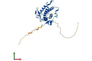 AlphaFold protein structure predicition of Mouse Recombinant Mob2 Protein, UniprotID Q8VI63