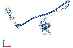 AlphaFold protein structure predicition of Mouse Recombinant Trim6 Protein, UniprotID Q8BGE7