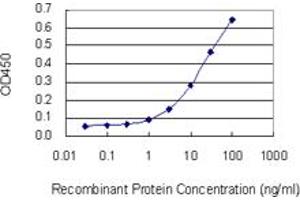 Detection limit for recombinant GST tagged SYT11 is 0.