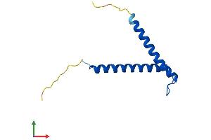 AlphaFold protein structure predicition of Human Recombinant TIMM8A Protein, UniprotID O60220