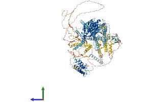 AlphaFold protein structure predicition of Mouse Recombinant Smarca2 Protein, UniprotID Q6DIC0